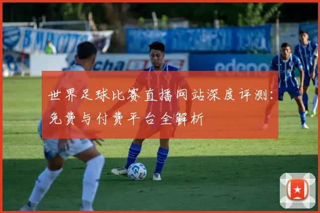 世界足球比赛直播网站深度评测：免费与付费平台全解析