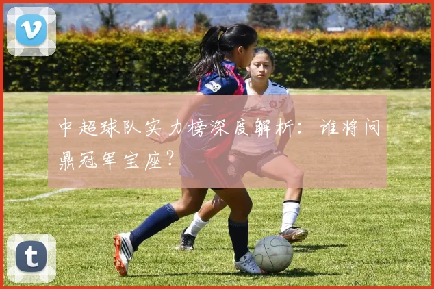 中超球队实力榜深度解析：谁将问鼎冠军宝座？