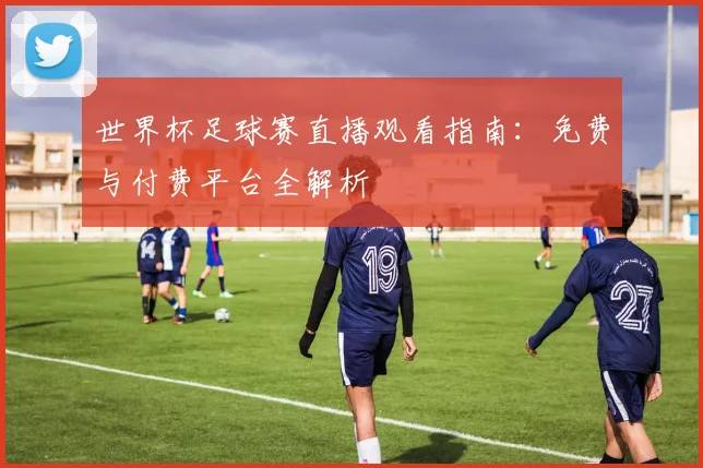 世界杯足球赛直播观看指南：免费与付费平台全解析